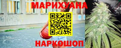 шишки Камышлов