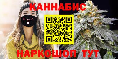шишки Камышлов
