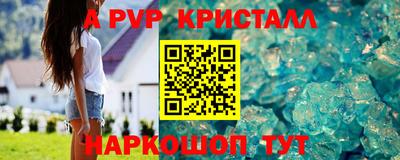шишки Камышлов