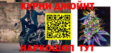 шишки Камышлов